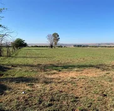 2.8 Hectares of Land - Image 1